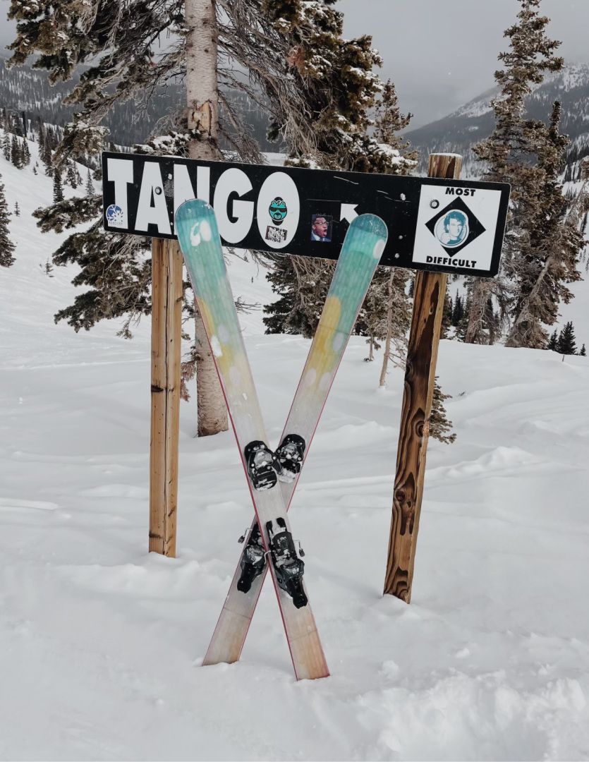 Allmountain Skis